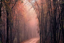 多多28：还是你会玩！中超2次让3追4泰山都是主角 赢了梅州输了重庆.