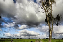 当约基奇单赛季30次轰下三双时,你才会发现威少简直非人类.