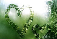 波尔津吉斯24分塔图姆20+8+8 绿军客场险胜篮网.