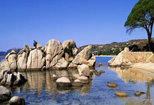 DeepSeek预测:国足1-2小负,斋月有望1-1爆冷逼平沙特.